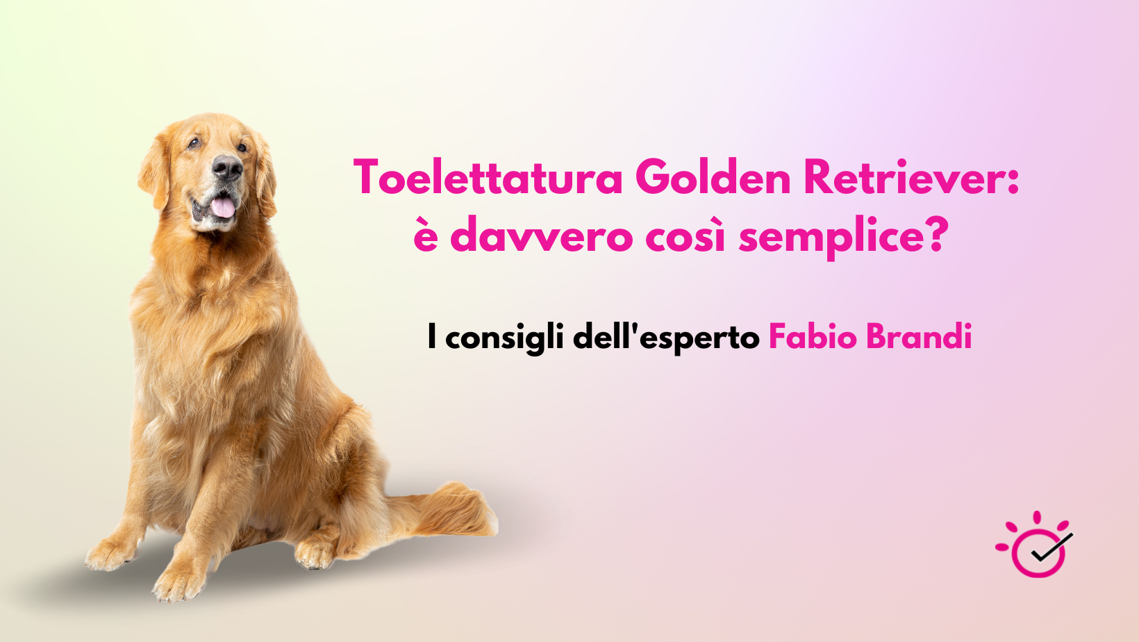 Toelettatura Golden Retriever: è davvero così semplice? I consigli del, image size:1640x924