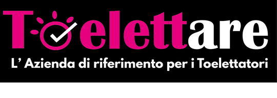 Toelettare