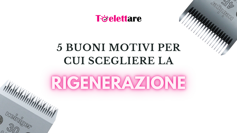 5 buoni motivi per cui scegliere la RIGENERAZIONE delle proprie testine