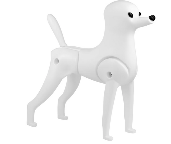 Manichino Poodle Model Dog senza pelliccia - barboncino