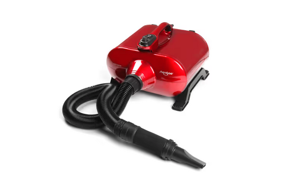 Glasgow - Soffiatore Typhoon 2800W