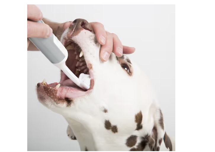 Spazzolino ultrasonico per cani, per rimuovere il tartaro