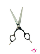 Forbici Asian Style Curve